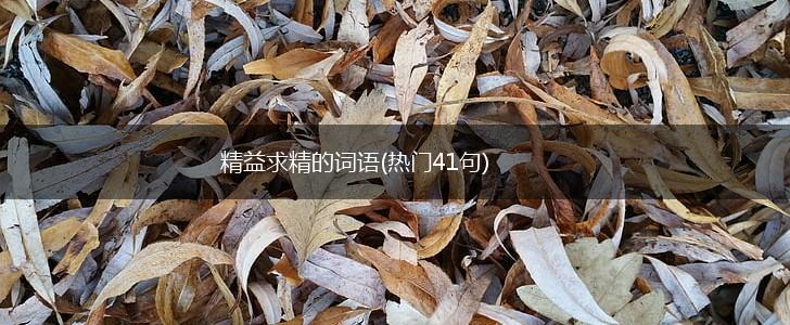 精益求精的词语(热门41句),第1张