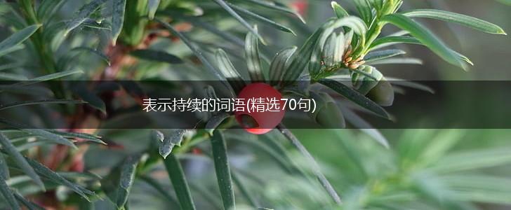 表示持续的词语(精选70句),第1张