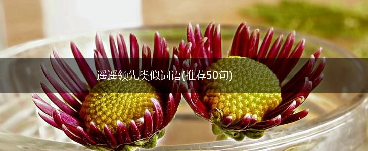 遥遥领先类似词语(推荐50句),第1张