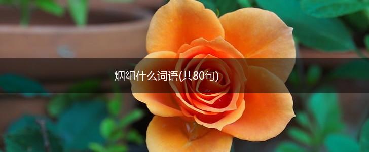 烟组什么词语(共80句),第1张