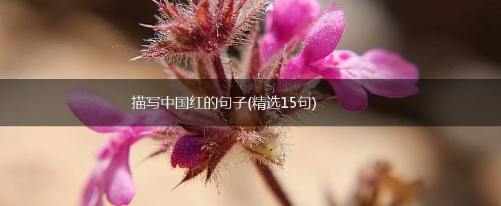 描写中国红的句子(精选15句),第1张