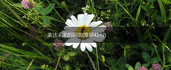表达未来的词语(推荐41句),第1张
