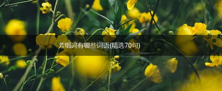芳组词有哪些词语(精选70句),第1张