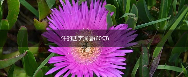汗的四字词语(60句),第1张