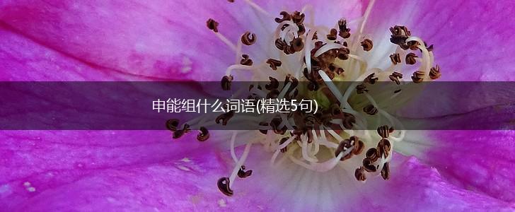 申能组什么词语(精选5句),第1张