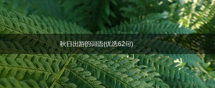 秋日出游的词语(优选62句),第1张