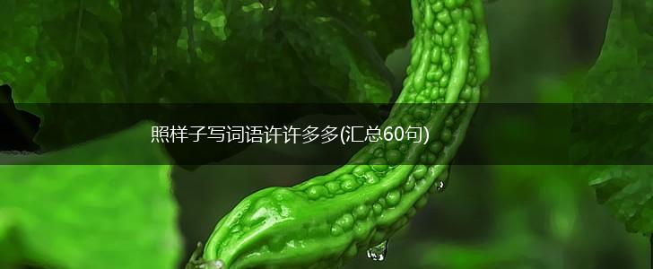 照样子写词语许许多多(汇总60句),第1张