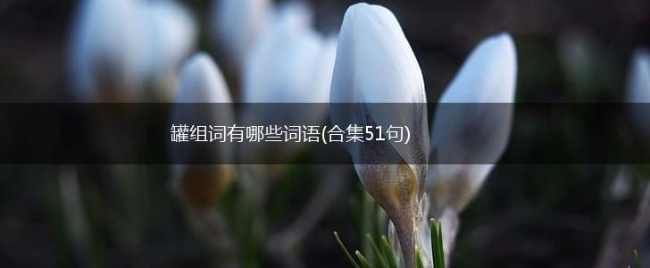 罐组词有哪些词语(合集51句),第1张