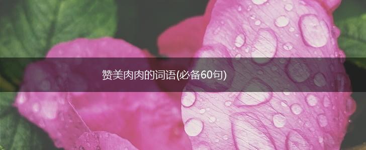 赞美肉肉的词语(必备60句),第1张