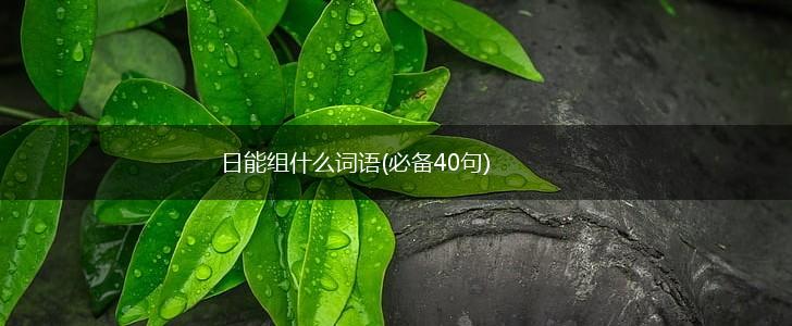 日能组什么词语(必备40句),第1张