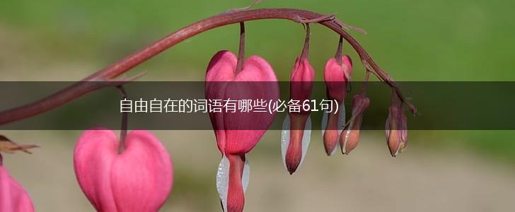 自由自在的词语有哪些(必备61句),第1张