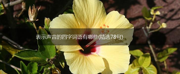 表示声音的四字词语有哪些(精选78句),第1张