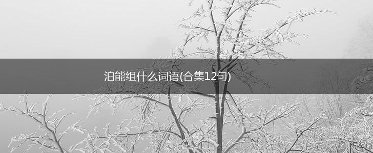泊能组什么词语(合集12句),第1张