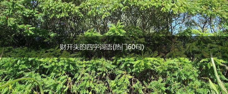 财开头的四字词语(热门60句),第1张