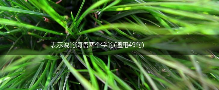 表示说的词语两个字的(通用49句),第1张