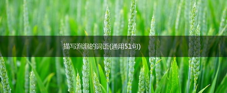 描写泡泡的词语(通用51句),第1张