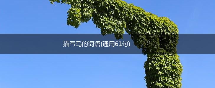描写马的词语(通用61句),第1张