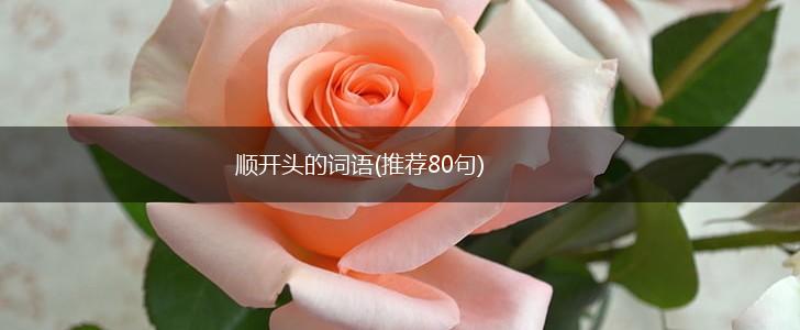 顺开头的词语(推荐80句),第1张