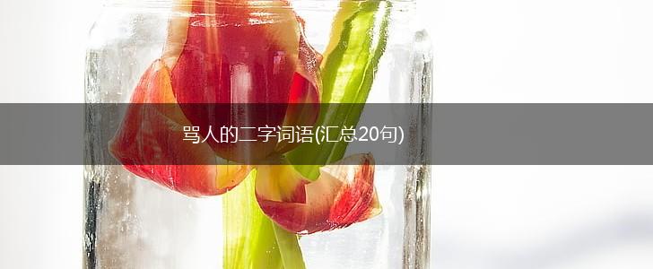 骂人的二字词语(汇总20句),第1张