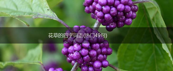 花草的四字词语(热门49句),第1张