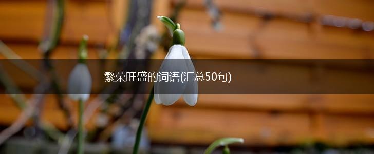繁荣旺盛的词语(汇总50句),第1张