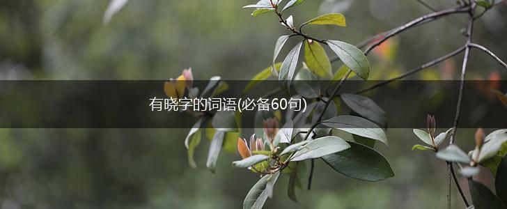 有晓字的词语(必备60句),第1张
