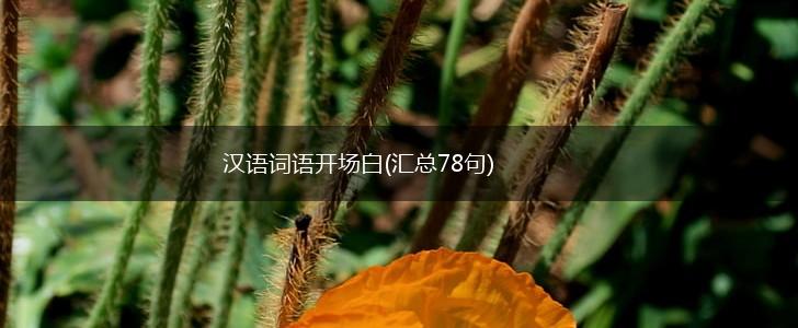 汉语词语开场白(汇总78句),第1张
