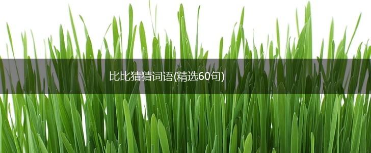 比比猜猜词语(精选60句),第1张