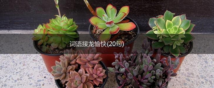 词语接龙愉快(20句),第1张