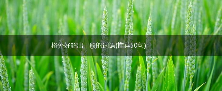 格外好超出一般的词语(推荐50句),第1张