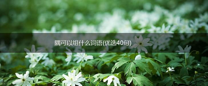 隅可以组什么词语(优选40句),第1张