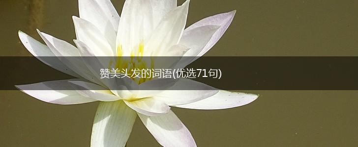 赞美头发的词语(优选71句),第1张