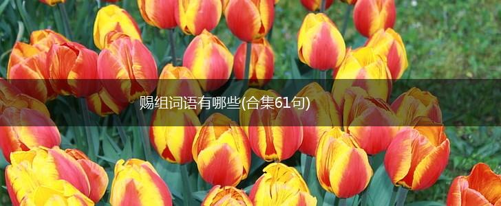 赐组词语有哪些(合集61句),第1张