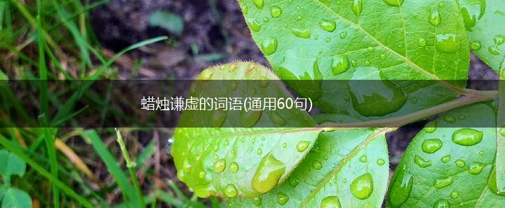 蜡烛谦虚的词语(通用60句),第1张