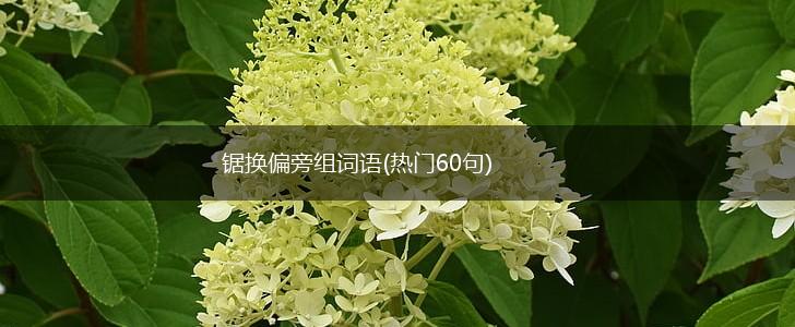 锯换偏旁组词语(热门60句),第1张