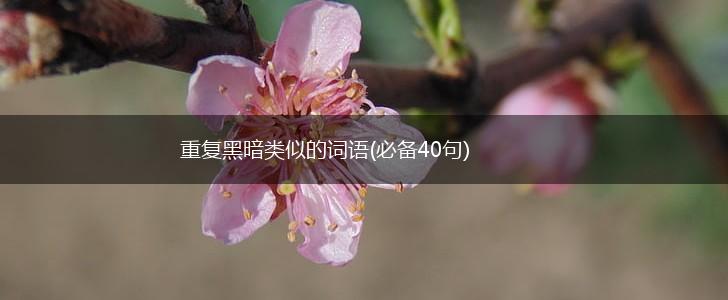 重复黑暗类似的词语(必备40句),第1张