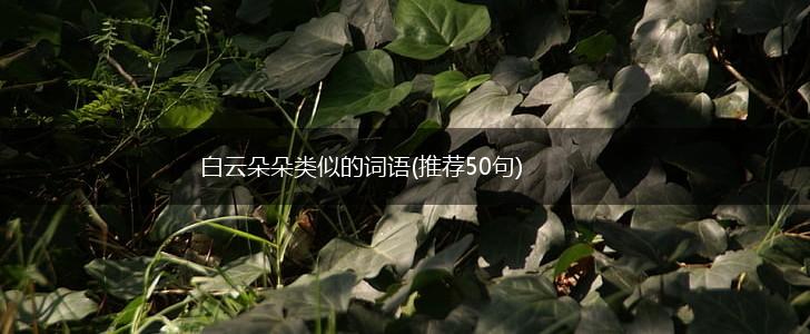 白云朵朵类似的词语(推荐50句),第1张