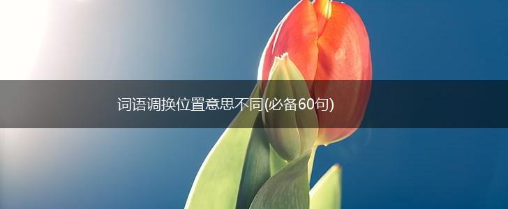 词语调换位置意思不同(必备60句),第1张