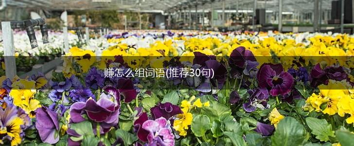 赚怎么组词语(推荐30句),第1张