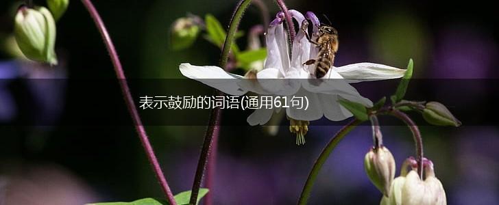 表示鼓励的词语(通用61句),第1张