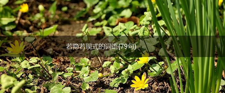 若隐若现式的词语(79句),第1张