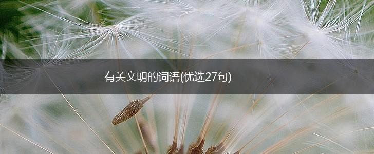有关文明的词语(优选27句),第1张