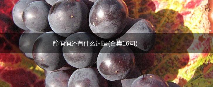 静悄悄还有什么词语(合集16句),第1张