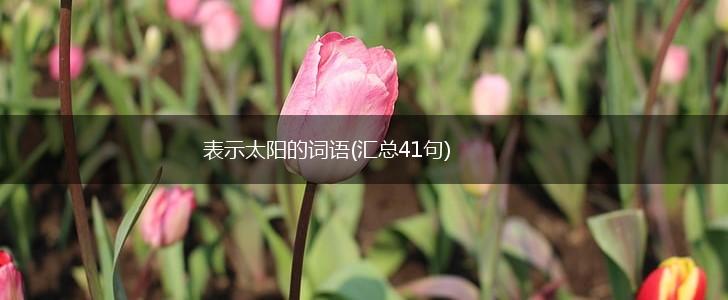 表示太阳的词语(汇总41句),第1张