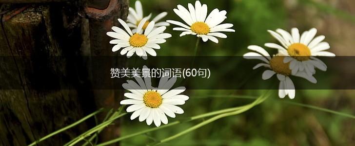 赞美美景的词语(60句),第1张
