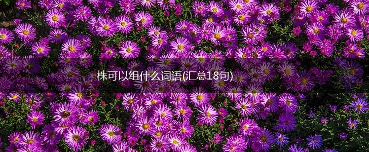 株可以组什么词语(汇总18句),第1张