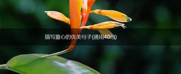 描写童心的优美句子(通用40句),第1张