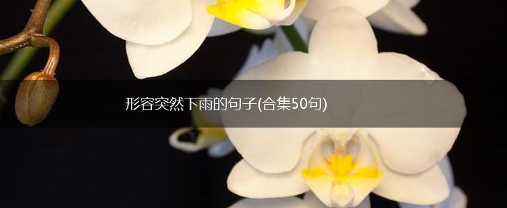形容突然下雨的句子(合集50句),第1张