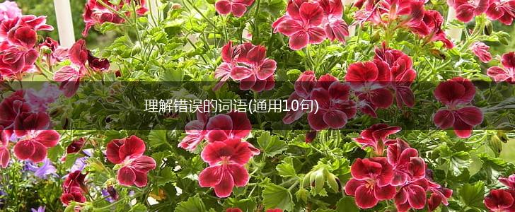 理解错误的词语(通用10句),第1张