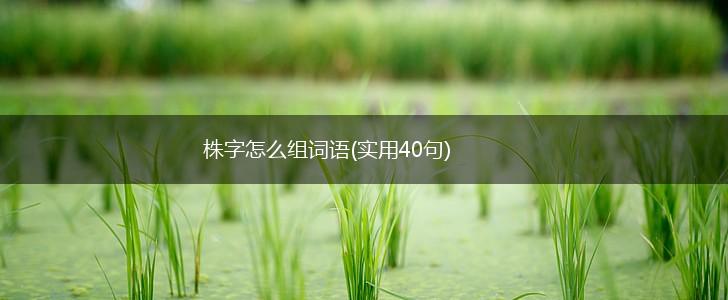 株字怎么组词语(实用40句),第1张